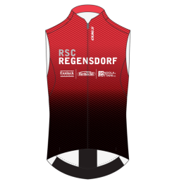 Hybrid Vest