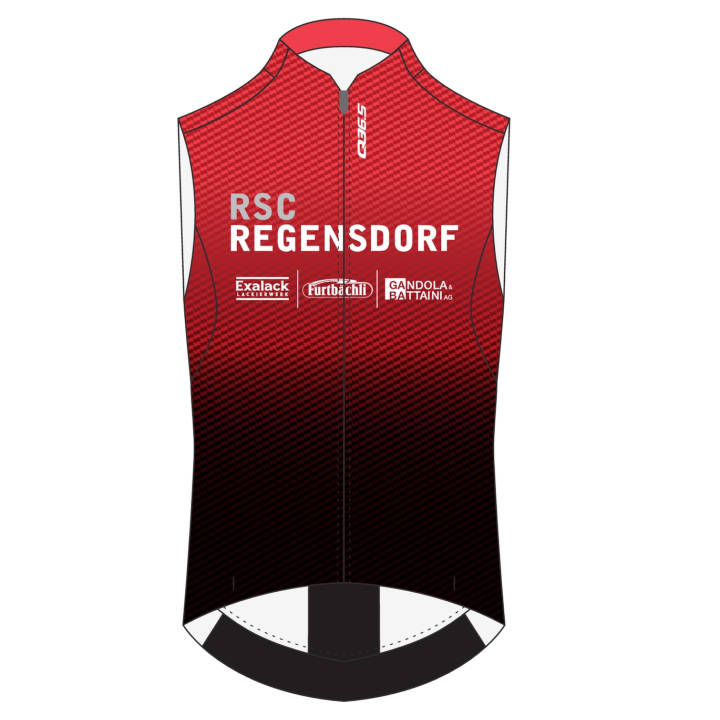 Hybrid Vest